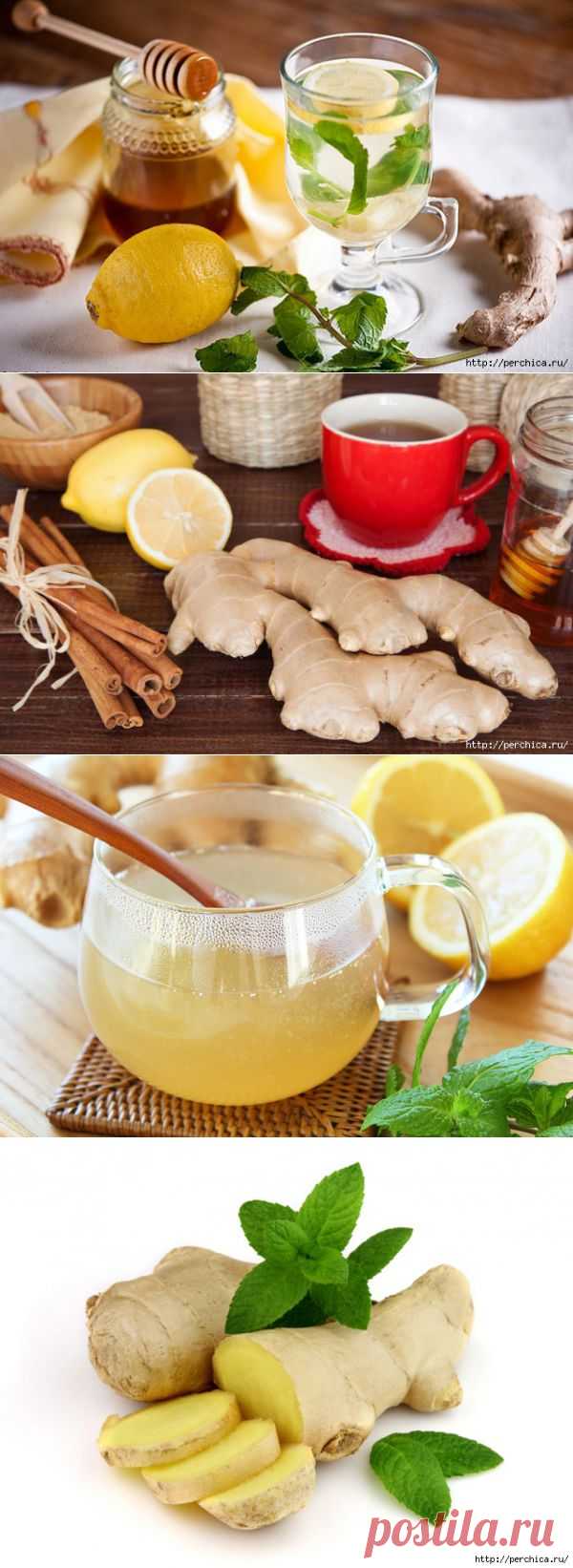 Как приготовить правильно имбирный чай для похудения,и секреты имбиря, о которых вы еще не знали
