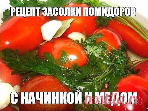 РЕЦЕПТ ЗАСОЛКИ ПОМИДОРОВ С НАЧИНКОЙ И МЕДОМ.
Приготовленные по этому рецепту помидоры получаются очень ароматными, пикантными, и понравятся всем, кто любит чеснок.

Понадобится: помидоры целые спелые, петрушка, чеснок, маринад – на 1л воды 2 ст.л.соли без горки и 1,5 ст.л. меда.

Как засолить помидоры с начинкой и медом. Чеснок очистить и измельчить, помидоры промыть, вырезать ножом плодоножку, доходя до середины помидоров. Начинить получившиеся отверстия (где были плодоно...