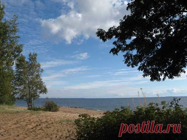 Вот и лето прошло - В Репино