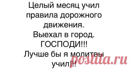 НЕСКОЛЬКО ДОБРЫХ ИСТОРИЙ ИЗ ЖИЗНИ! Обязательно напишите в комментариях, какая история Вам больше всего понравилась. Начнем…