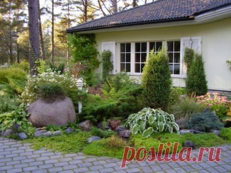 У Хозяев руки растут там, где надо!!! | Давай поговорим