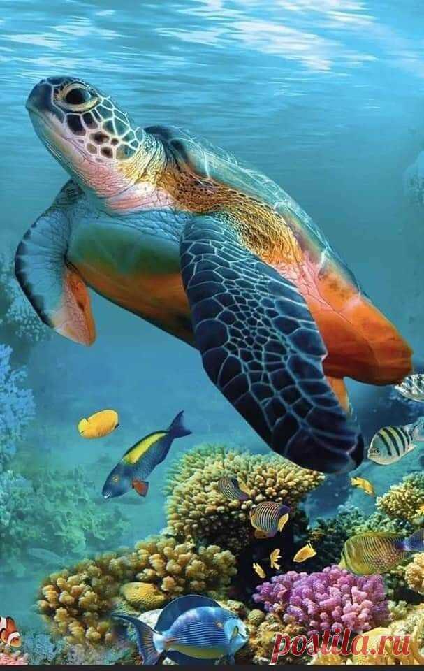 ღ