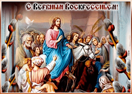 С Вербным Воскресеньем поздравляю!
Всем желаю мира и добра!
Пусть в сердцах любви будет до края,
Мир в душе и счастье без конца!