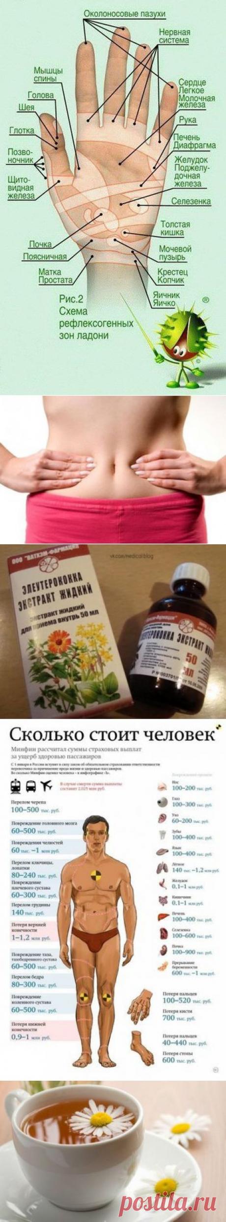 Тайная сила… мизинца. Влиятельный указательный | Мамам, женщинам, бабушкам и очень любознательным.