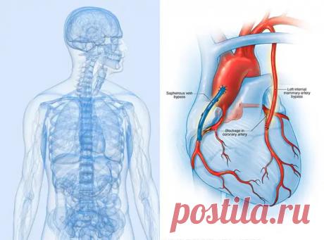 2 упражнения для здорового сердца
