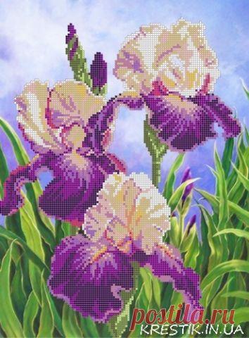 Ткань с рисунком для вышивки бисером Ирисы S-052 - Цветы - KRESTIK.IN.UA