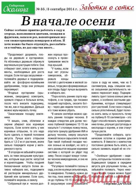 Работы на даче в начале осени
