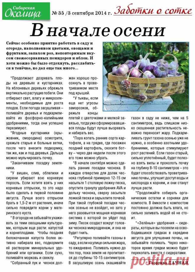 Работы на даче в начале осени