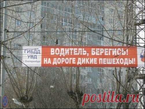 Береженного Бог бережет!
