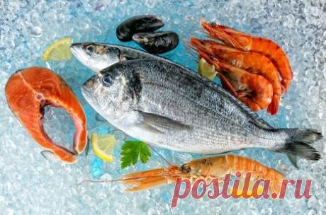 10 самых полезных рыб