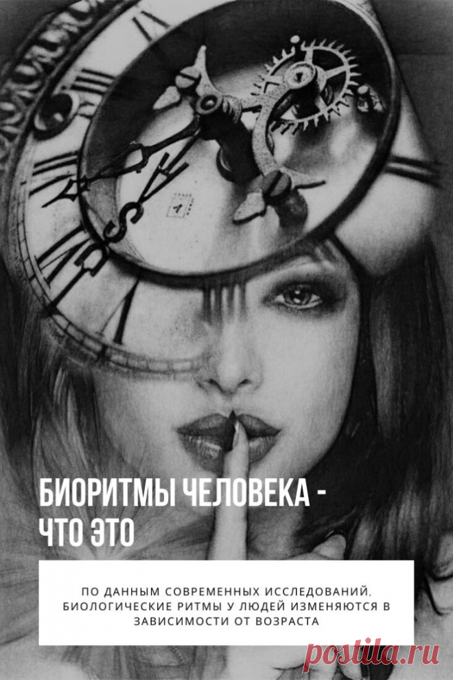 Биоритмы человека. Процессы, которые протекают в человеческом организме, происходят с определенной цикличностью. Они имеют простое название – биоритмы. Их хронометры располагаются в мозговой части и сердце человека. На них оказывают влияние множество факторов как природных, так и социальных. В течение всей жизни они подвергаются различного рода изменениям.