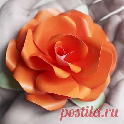 Роза из бумаги своими руками. Бумажные розы