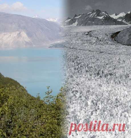 Как влияет глобальное потепление на нашу планету - Познавай