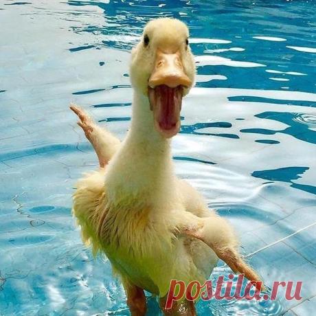 Фото@Mail.Ru: : Фото группы
