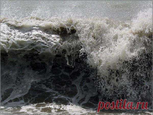 Шокирующая правда о Черном море | Люблю Себя