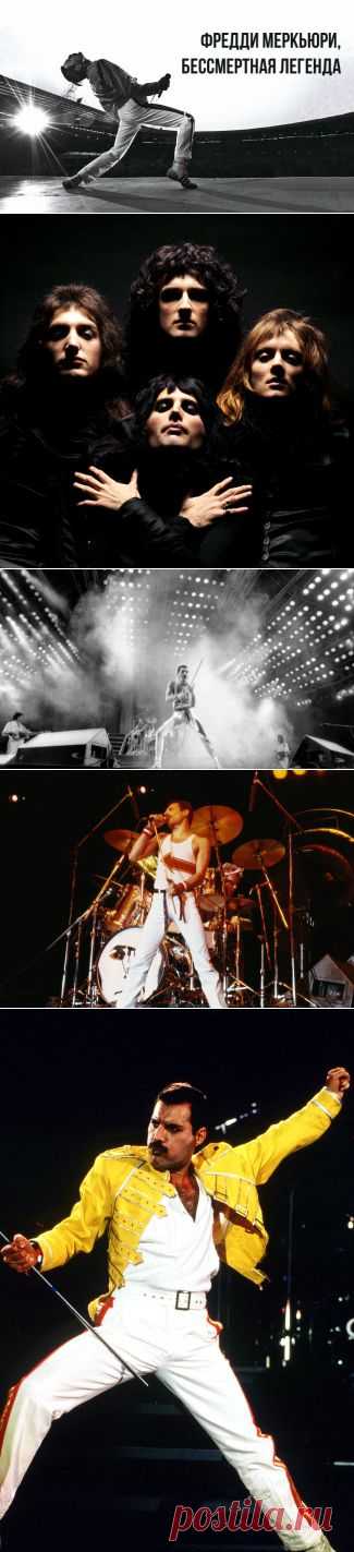 Бессмертная легенда — Фредди Меркьюри