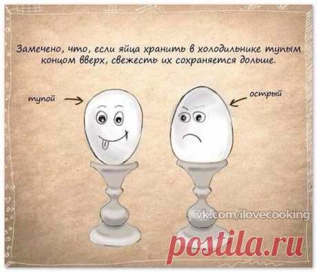 Полезные советы в картинках.