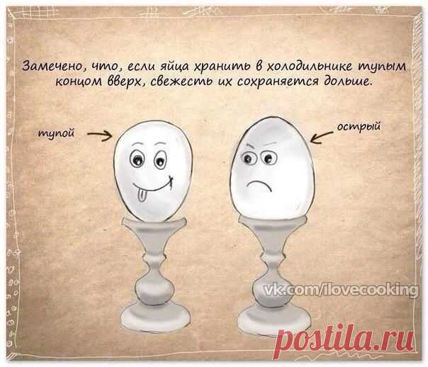 Полезные советы в картинках.