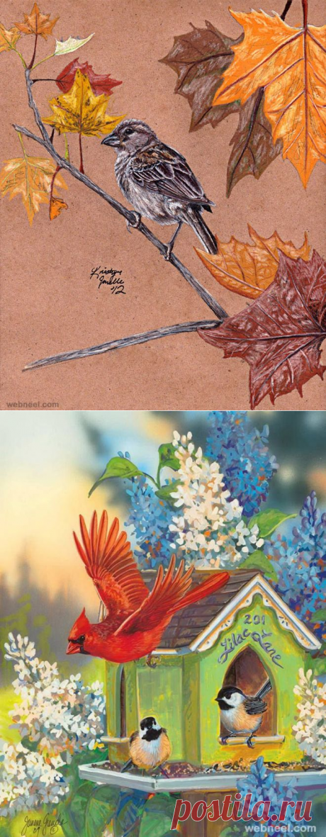 40 Beautiful Bird Drawings and Art works for your inspiration