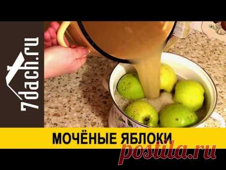 Моченые яблоки - 7 дач