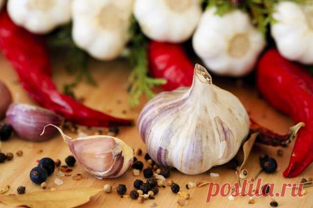 ВКУСНЕЙШИЕ ЧЕСНОЧНЫЕ РЕЦЕПТЫ Простой чеснок далеко не прост — он и лекарь, и вкуснейшее дополнение ко многим блюдам из мяса, рыбы и овощей, вкус которых был бы далек от совершенства без такого пикантного компонента.
Чеснок марину…