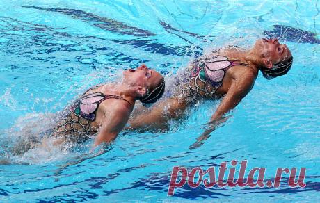 Наталья Ищенко и Светлана Ромашина. © Станислав Красильников/ТАСС. Подробнее на ТАСС: https://tass.ru/sport/3543574 | ТАСС: Спорт - Синхронистки Светлана Ромашина и Наталья Ищенко завоевали золото ОИ-2016