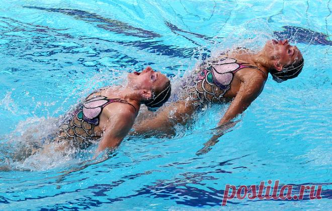 Наталья Ищенко и Светлана Ромашина. © Станислав Красильников/ТАСС. Подробнее на ТАСС: http://tass.ru/sport/3543574  |  ТАСС: Спорт - Синхронистки Светлана Ромашина и Наталья Ищенко завоевали золото ОИ-2016