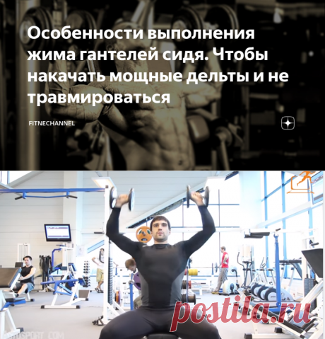 Особенности выполнения жима гантелей сидя. Чтобы накачать мощные дельты и не травмироваться | fitnechannel | Яндекс Дзен