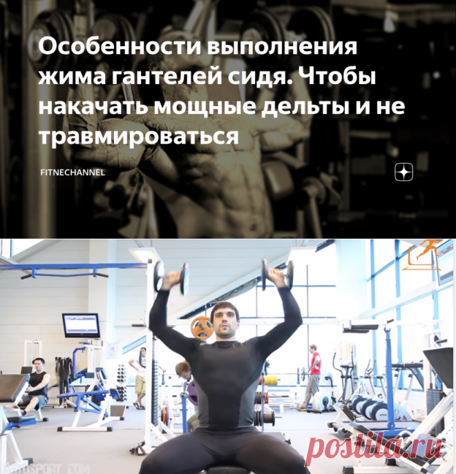 Особенности выполнения жима гантелей сидя. Чтобы накачать мощные дельты и не травмироваться | fitnechannel | Яндекс Дзен