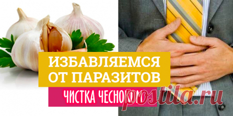 Избавляемся от паразитов: чистка чесноком | Полезные советы