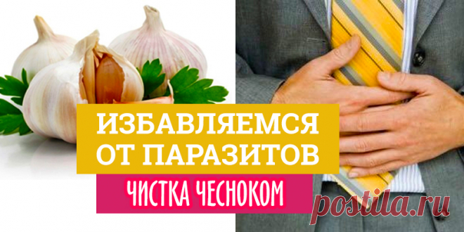Избавляемся от паразитов: чистка чесноком | Полезные советы