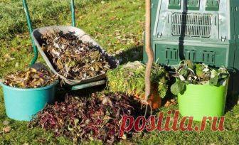 Какие удобрения вносить осенью – виды и дозировка Забота о растениях продолжается и после сбора урожая. Именно в конце лета и осенью почву следует 