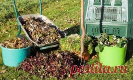 Какие удобрения вносить осенью – виды и дозировка Забота о растениях продолжается и после сбора урожая. Именно в конце лета и осенью почву следует "заправить" удобрениями, которые создадут запас питательных веществ на будущий сезон. Сколько же и каки...