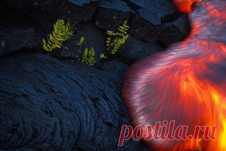 (9) Одноклассники