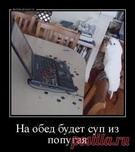 Демотиваторы для хорошего настроения!
