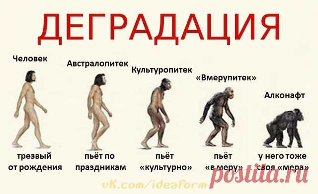 Пост на стене Не смотри на вино, как оно краснеет, как оно искрится в чаше, как оно ухаживается ровно: впоследствии, как змей, оно укусит, и ужалит, как аспид; глаза твои будут смотреть на чужих жен, и сердце твое заговорит развратное, и ты будешь, как спящий среди моря и как спящий на верху мачты. И скажешь: «били меня, мне не было больно; толкали меня, я не чувствовал. Когда проснусь, опять буду искать того же». (Притчи 23:31-35)