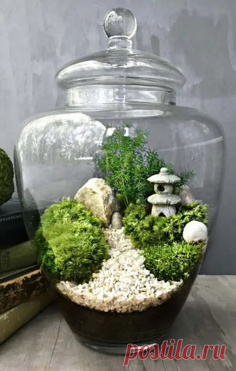 Terrario: +87 Bellos Modelos, Tipos de Plantas y Fácil Paso a Paso