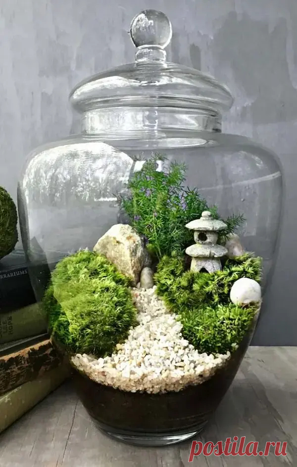 Terrario: +87 Bellos Modelos, Tipos de Plantas y Fácil Paso a Paso