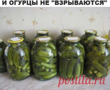 ОГУРЦЫ НЕ ВЗРЫВАЮТСЯ!