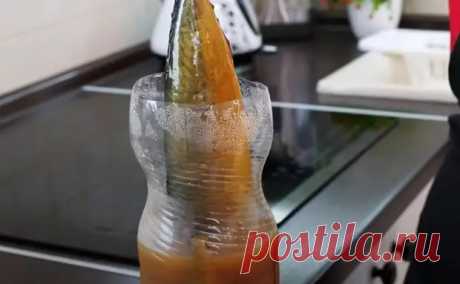 Копченая скумбрия из бутылки. Смешиваем чай с луковой шелухой и получается как с костра - медиаплатформа МирТесен