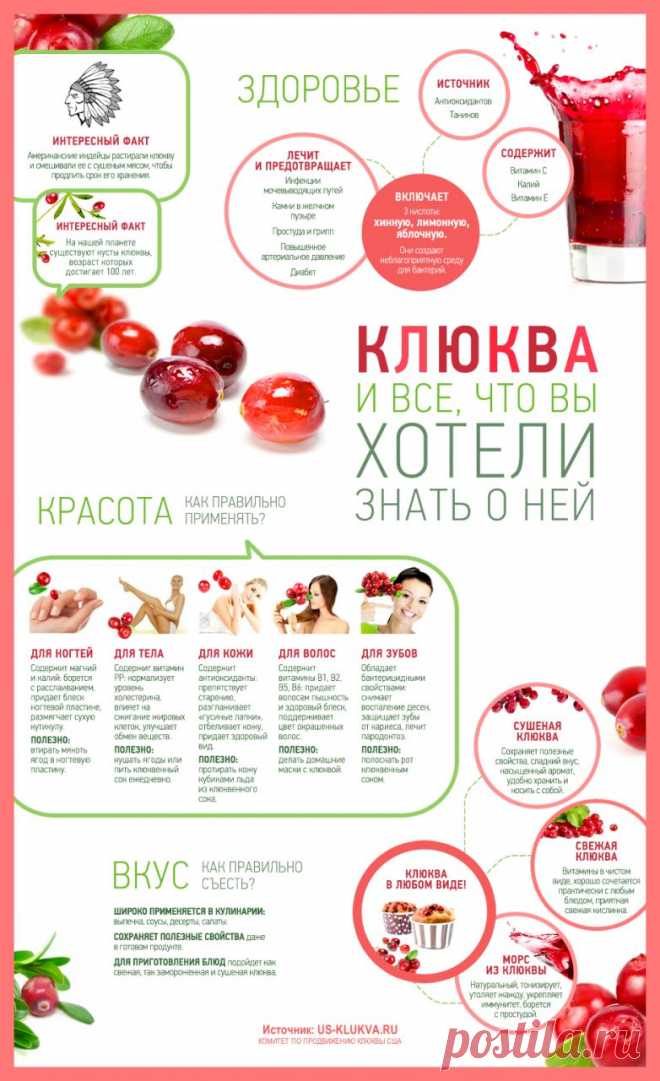 Для красоты и здоровья: клюква! / Домоседы