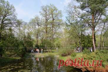 Beauty in nature, medium group of people on background walking, relaxing, spending their leisure time in a park (2013 год) Редакционное фото, фотограф Ilaronsia / Фотобанк Лори