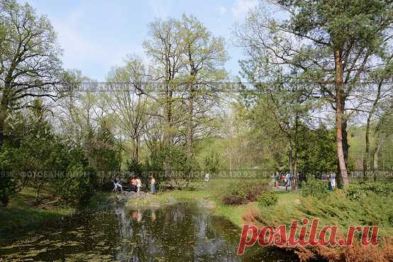 Beauty in nature, medium group of people on background walking, relaxing, spending their leisure time in a park (2013 год) Редакционное фото, фотограф Ilaronsia / Фотобанк Лори
