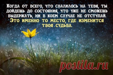 400 фильмов о психологии