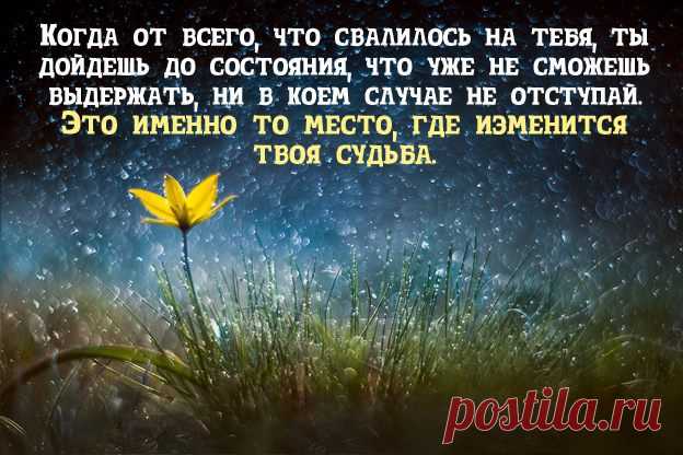 400 фильмов о психологии