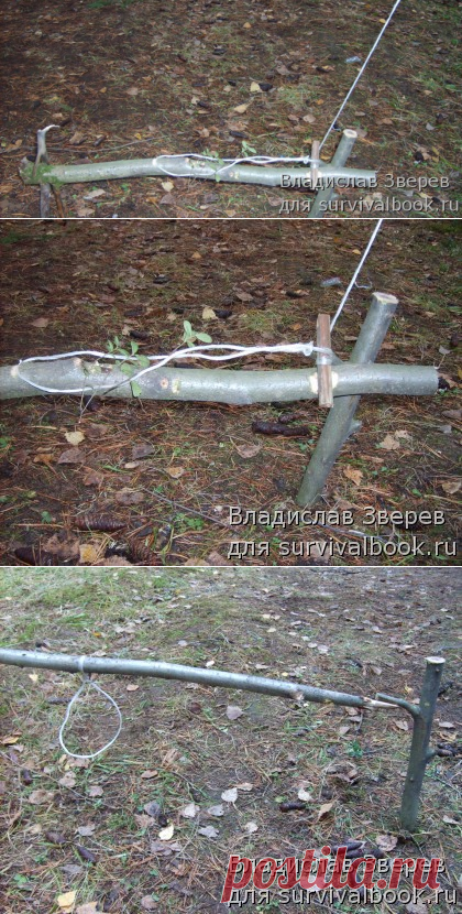 Охотничьи ловушки и самоловы | Книга выживания. Выживание в экстремальных условиях