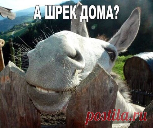 Дома-дома,заходи