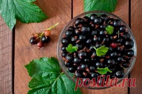 Самые полезные ягоды для здоровья пожилых людей Черника, малина и облепиха признаны наиболее полезными ягодами для людей пожилого возраста. Об этом&nbsp;сообщила врач-диетолог, кандидат медицинских наук Дарья Русакова.Специалист объяснила, что черника отличается высоким содержанием антоцианов &mdash; ярких пигментов с мощным...