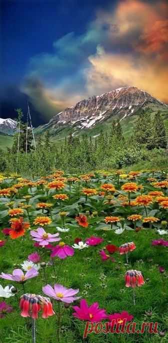Belle nature