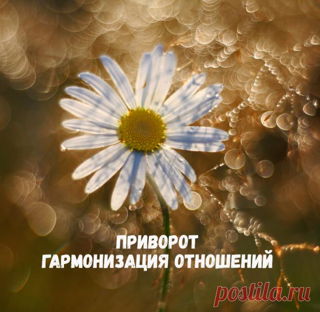 Применяя ритуал гармонизации отношений можно удалить негатив, укрепить все положительные чувства и мысли, связанные с чувством любви. Нередко гармонизация отношений помогает сохранить семью. Нередко гармонизация отношений помогает сохранить семью от разрушения, способна обновить светлые чувства и укрепить связи между людьми.
Гармонизация – это воздействие, работающее с уже существующими чувствами, улучшающее то, что уже есть. На основе этого и происходит привораживание.